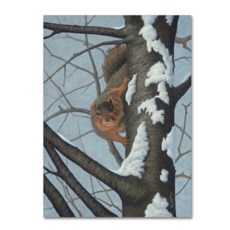 Robert Wavra 'What's Going On - Fox Squirrel' Canvas Art,24x32